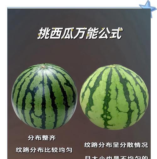 如何挑选适合猫粮的西瓜？