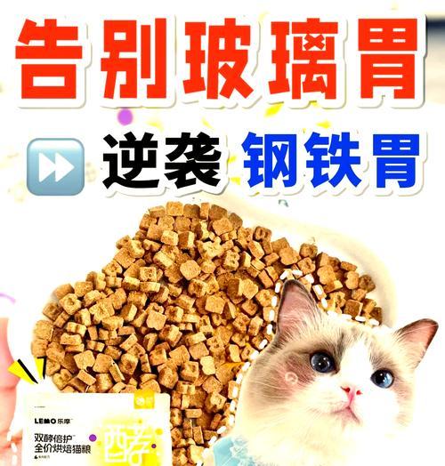 猫消化不良吃什么猫粮？哪种猫粮更适合消化不良的猫？