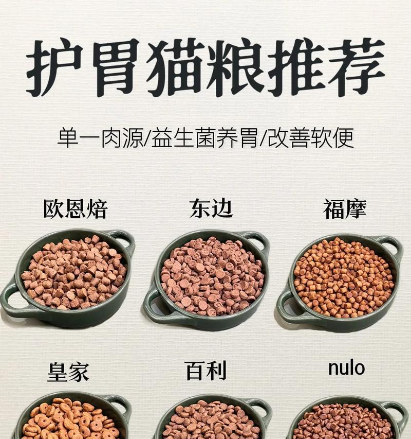 猫消化不良吃什么猫粮？哪种猫粮更适合消化不良的猫？