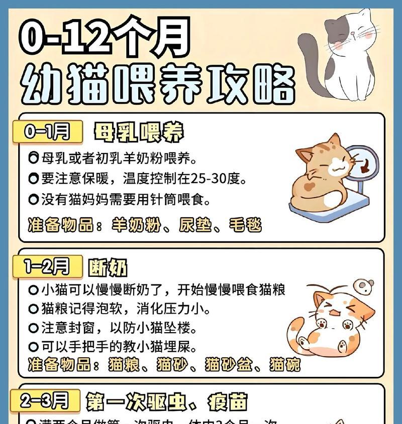 首次喂食猫粮的正确步骤？如何确保吃饱？