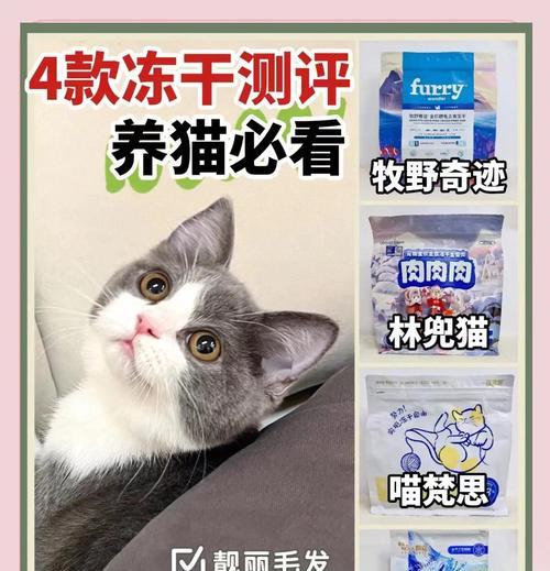 猫咪可以猫粮混冻干着吃吗？这样喂食有什么好处？