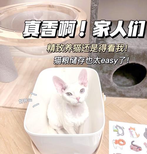 猫粮储粮桶超大如何存储？选择哪种储粮桶更合适？