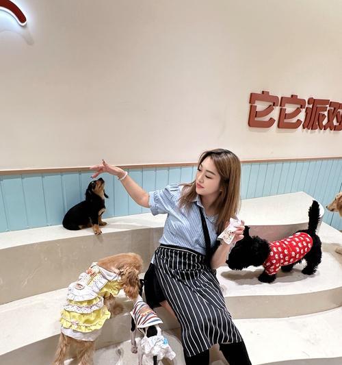 羊驼不慎撞到游客应如何处理？责任归属如何判定？