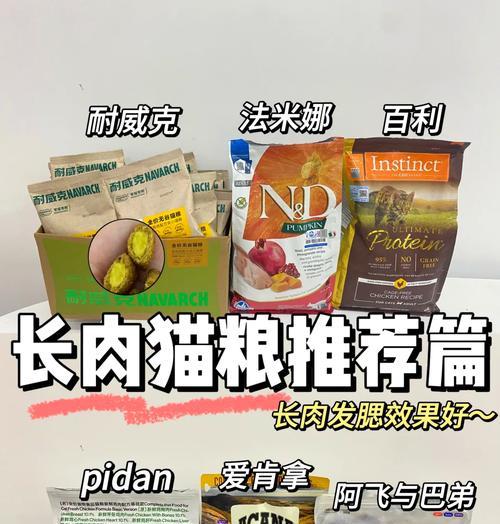 长毛猫不食用猫粮时应该吃什么？有哪些健康的食物选择？