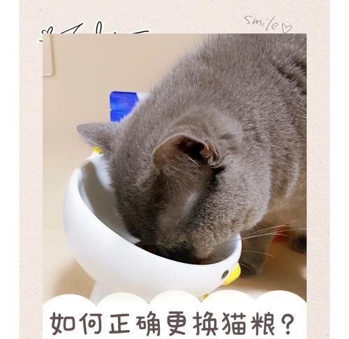 猫咪换猫粮的最佳时机是什么时候？