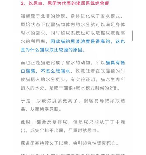 猫粮导致尿闭如何处理？有哪些预防措施？