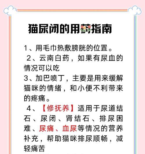 猫粮导致尿闭如何处理？有哪些预防措施？