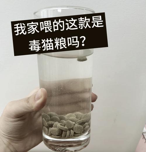 猫咪为何不能吃泡水的猫粮？