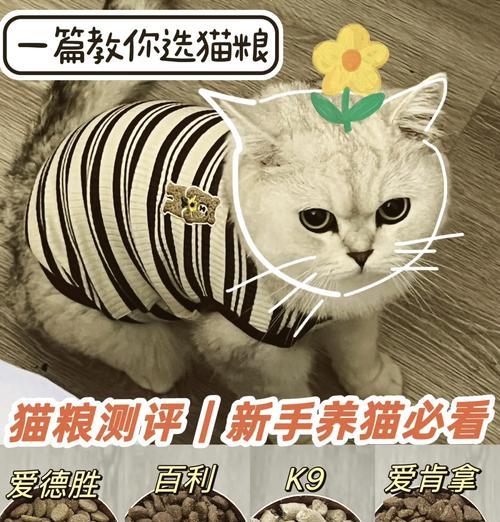 猫粮添加剂多的原因是什么？对猫有害吗？