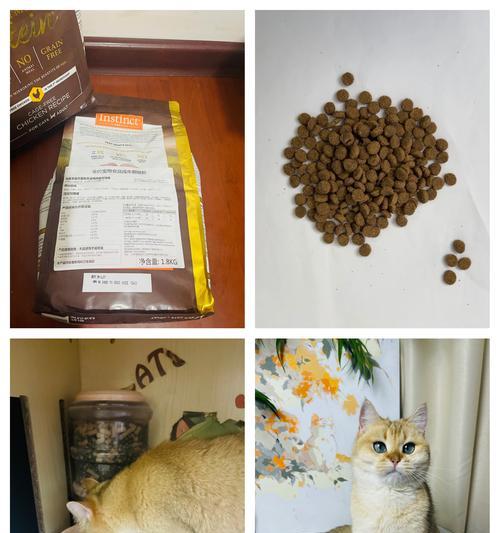 百利猫粮口袋怎么打开图解？如何正确开封猫粮？