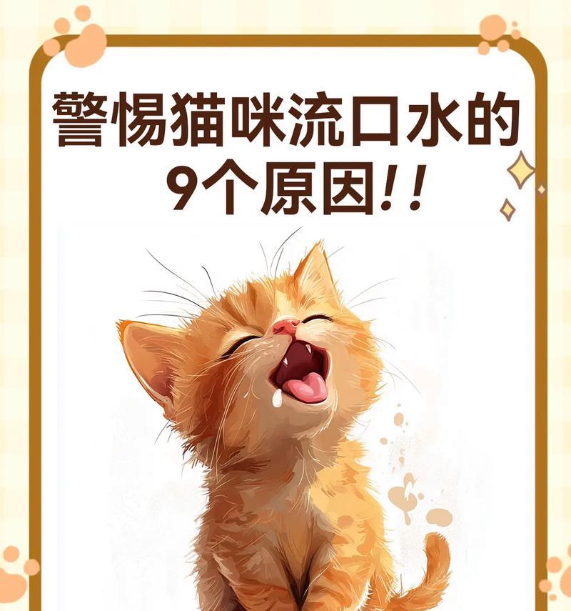小猫吃猫粮频繁咽口水是何原因？需要担心吗？