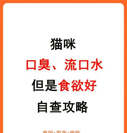 小猫吃猫粮频繁咽口水是何原因？需要担心吗？