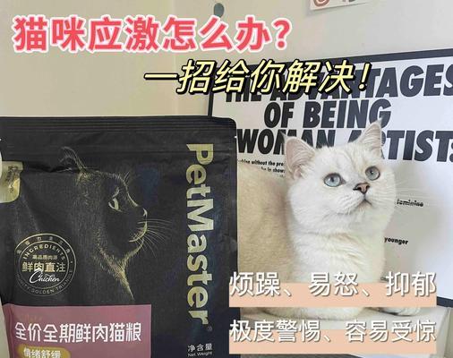 沙发上的猫粮痕迹如何清理？