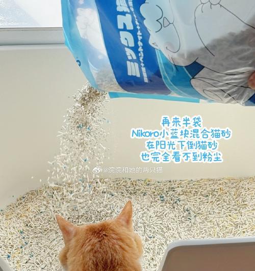 沙发上的猫粮痕迹如何清理？