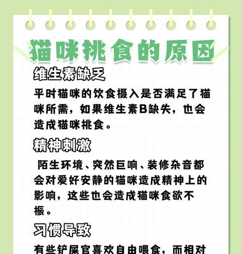 逗猫几次猫都不吃猫粮怎么回事？猫咪厌食的原因及解决办法？