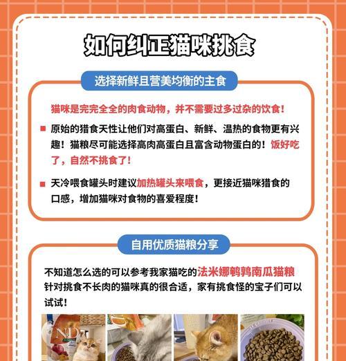 逗猫几次猫都不吃猫粮怎么回事？猫咪厌食的原因及解决办法？