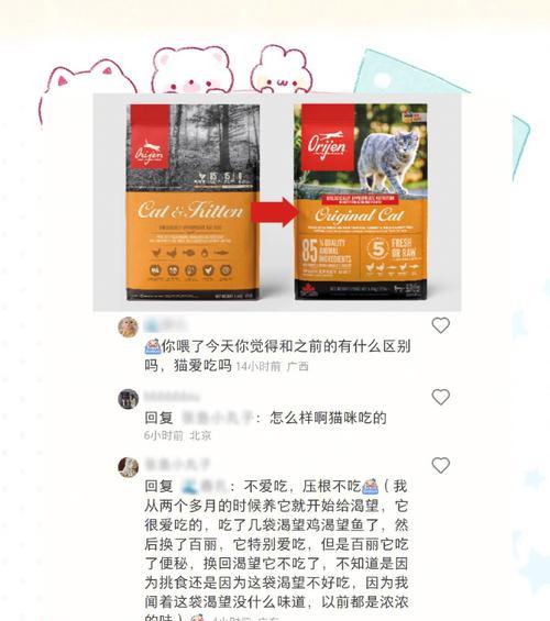猫咪为何不主动进食猫粮？