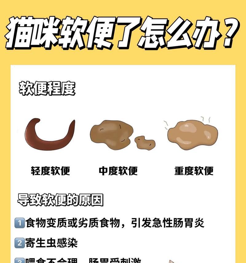 猫粮吃完后拉屎臭是什么原因？如何改善？