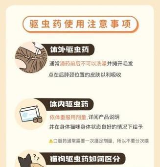 猫粮吃完后拉屎臭是什么原因？如何改善？