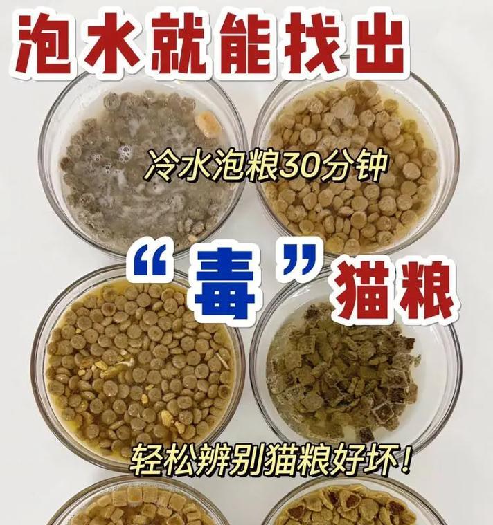 哪些添加剂会导致猫粮成为毒猫粮？如何辨别安全猫粮？