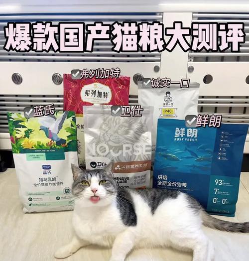 新小猫适合哪种猫粮？