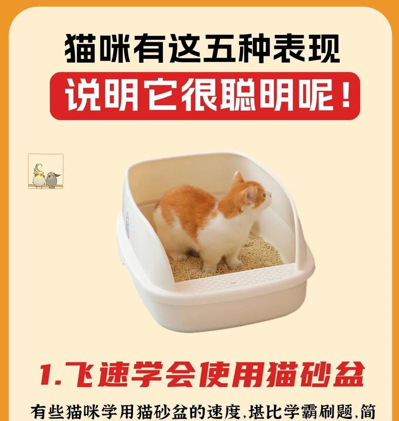 逗猫玩具掉粮问题如何解决？