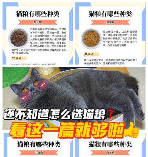 预存猫粮的购买流程是怎样的？