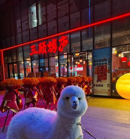 拉萨的羊驼火锅店味道如何？是否值得尝试？