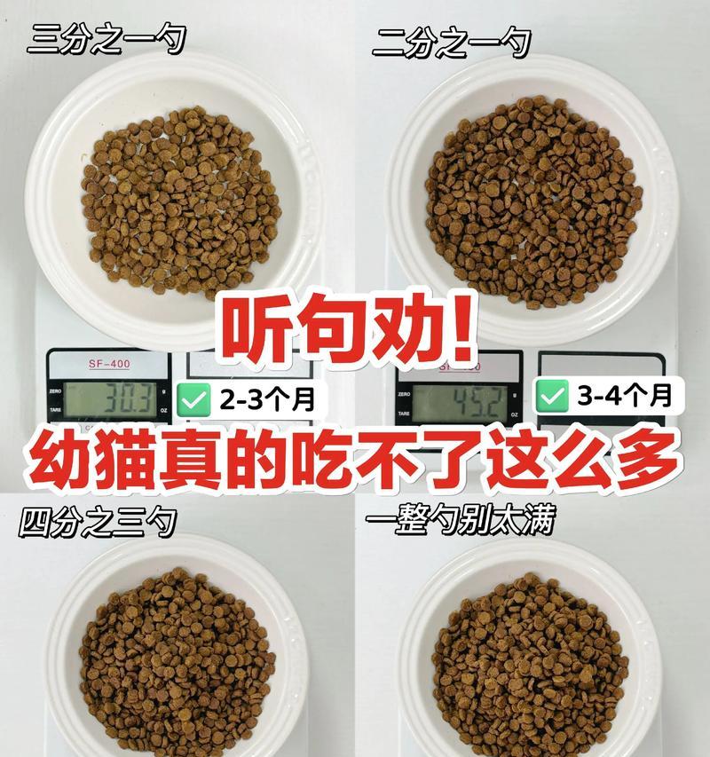 幼猫吃太多猫粮会有什么危害？如何控制幼猫的食量？