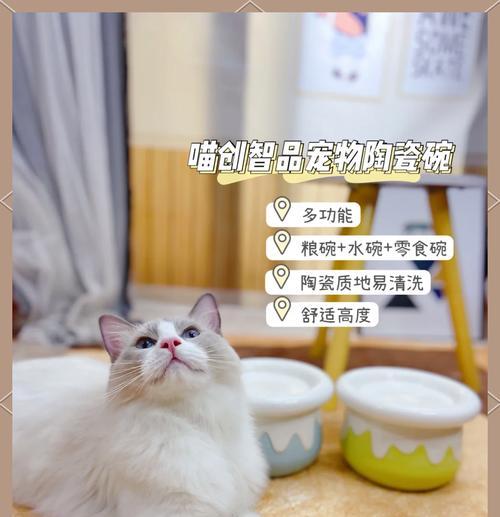 这种按压式出粮猫碗的名称是什么？