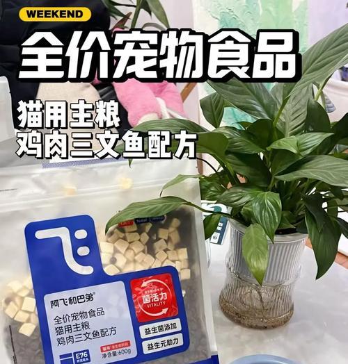 会飞的鸡猫粮是哪种鸡？