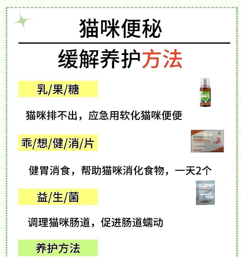 猫湿粮转干粮导致便秘怎么处理？如何顺利过渡猫粮类型？