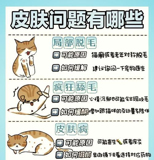 布偶猫可以脱毛吗为什么？脱毛的原因和处理方法是什么？