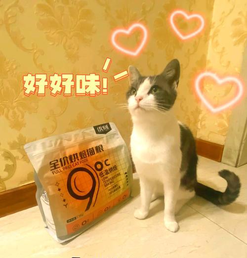 猫从门缝扒拉猫粮会怎么样？如何防止猫咪偷食？