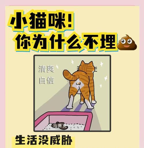 猫咪埋猫粮行为背后的含义是什么？