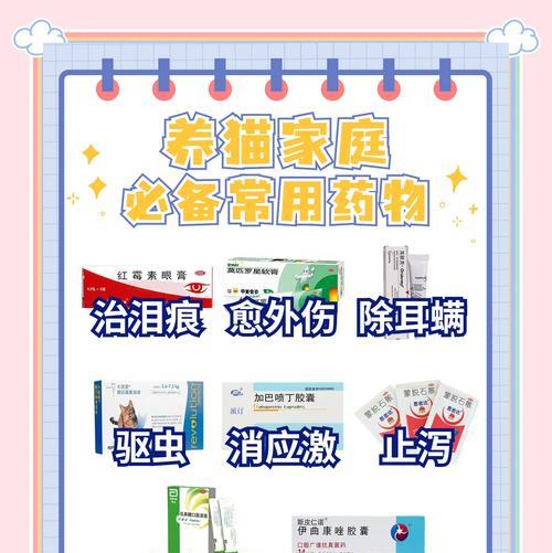 一岁猫吐猫粮怎么办？推荐的药物有哪些？
