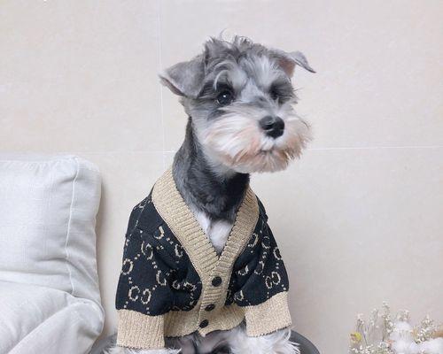 雪纳瑞的衣服价格是多少？如何选择合适的雪纳瑞衣服？