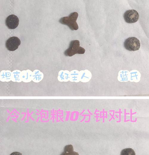猫粮泡水产生泡沫的科学解释是什么？