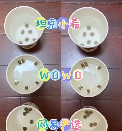 猫粮泡水产生泡沫的科学解释是什么？