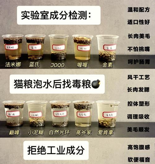 猫粮泡水后为何总是黏在一起？