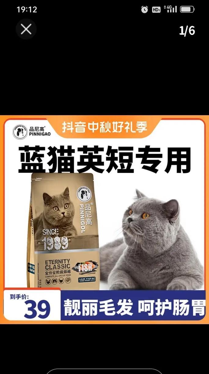 蓝猫掉毛严重时猫粮的选择是什么？