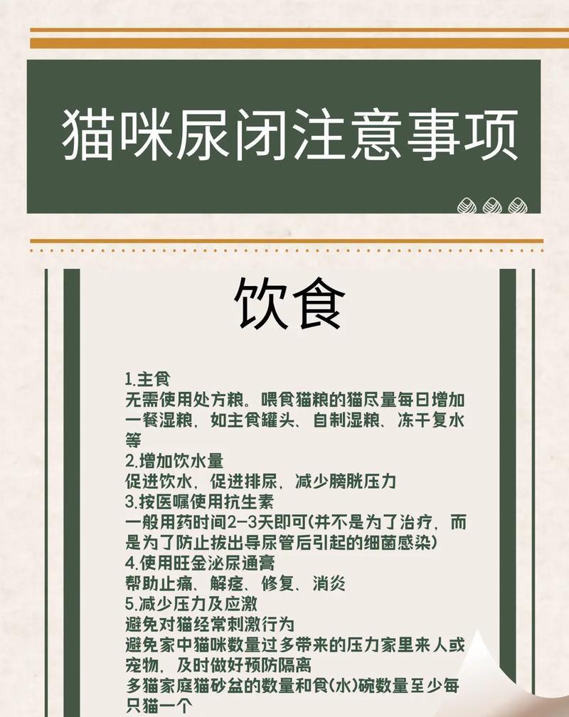 猫粮出现问题应如何处理？