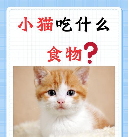 猫粮都可以加什么食物一起吃？搭配食物的正确方法和注意事项？