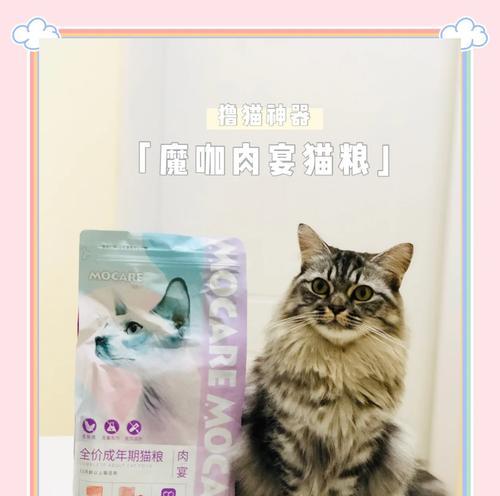 猫粮带货的胖子叫什么？哪个带货主播推荐的猫粮最值得信赖？