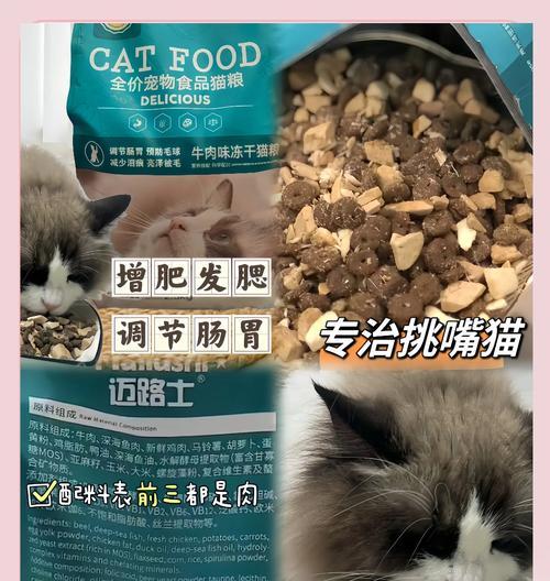 奶牛猫可以挑什么猫粮？如何选择适合奶牛猫的猫粮？