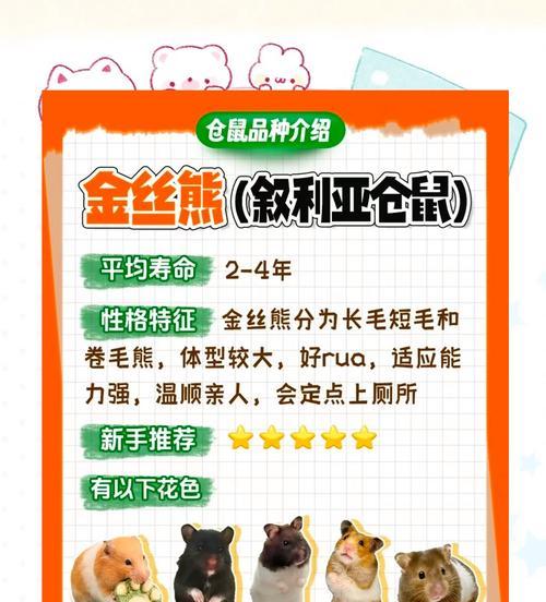 挑选仓鼠粮的技巧有哪些？去宠物店购买时应注意什么？