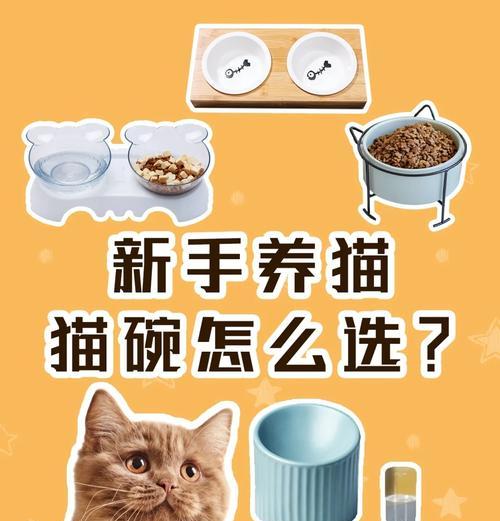 猫粮碗无声音什么原因造成的？如何解决？