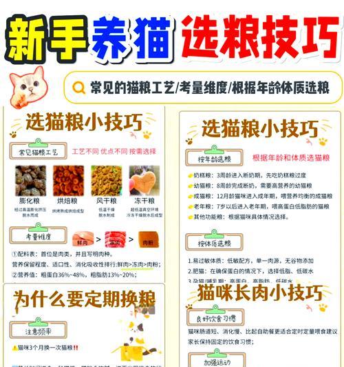 如何用空气炸锅烤猫粮？有哪些步骤和注意事项？
