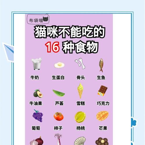 没猫粮了猫咪吃什么？临时替代猫粮的食品有哪些？
