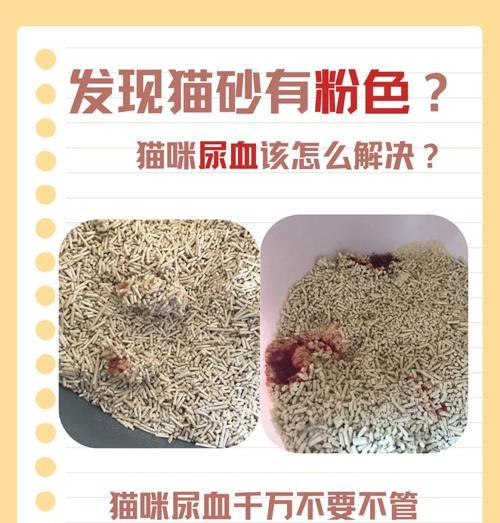 猫粮泡水后为何变得像沙子？这是正常现象吗？